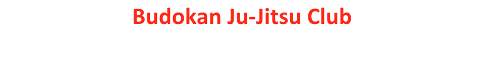 Budokan Ju-Jitsu Club
Based at Hale Youth Centre
